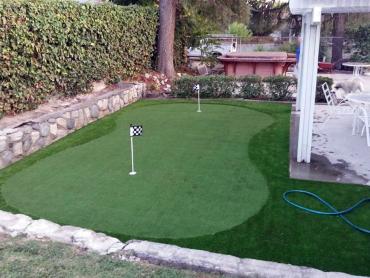 Artificial Grass Photos: Synthetic Turf White Salmon, Washington Putting Green Flags, Backyard Landscaping