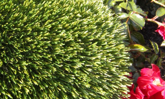 V Blade-64 syntheticgrass Artificial Grass Seattle, Washington