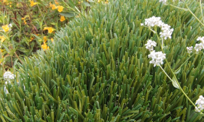 Double S-72 syntheticgrass Artificial Grass Seattle, Washington