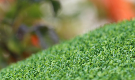 Backyard Putting Green