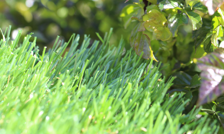 Wholesale Synthetic Grass