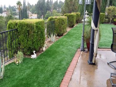 Artificial Grass Photos: Turf Grass Altoona, Washington Landscaping Business, Backyard Garden Ideas