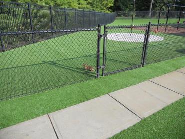 Artificial Grass Photos: Turf Grass Carbonado, Washington Playground Safety, Recreational Areas