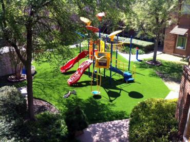 Artificial Grass Photos: Turf Grass Fircrest, Washington Lacrosse Playground, Commercial Landscape