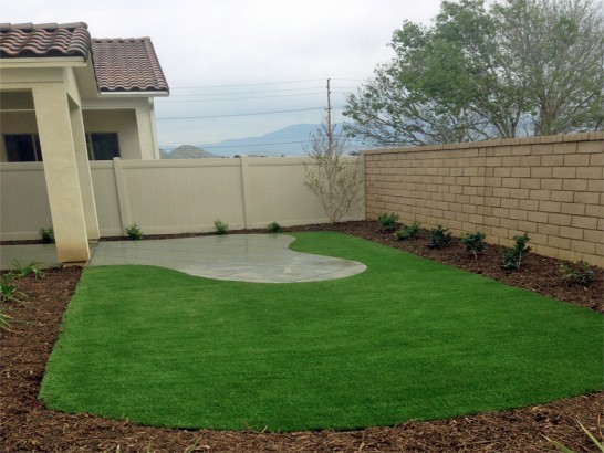 Turf Grass Greenwater, Washington Backyard Playground, Backyard Designs artificial grass