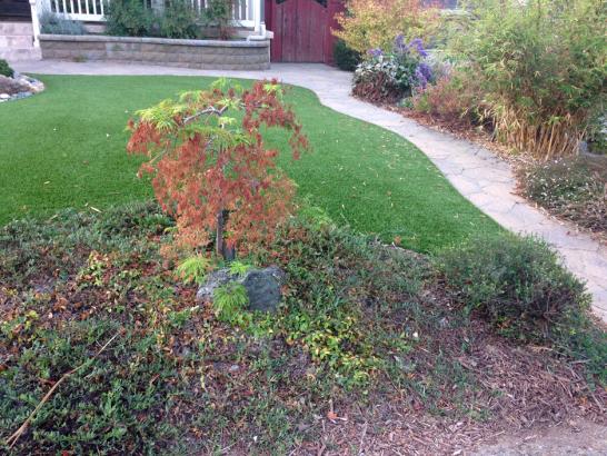 Artificial Grass Photos: Turf Grass Lake Forest Park, Washington Paver Patio, Front Yard Landscaping