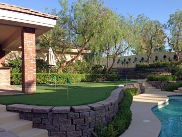 Artificial Grass Photos: Turf Grass Lake McMurray, Washington Rooftop, Backyard Designs