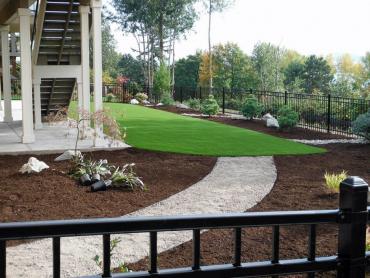 Artificial Grass Photos: Turf Grass Maple Heights-Lake Desire, Washington Roof Top, Backyard Design