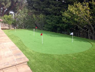 Artificial Grass Photos: Turf Grass Mattawa, Washington Backyard Putting Green, Backyard Designs