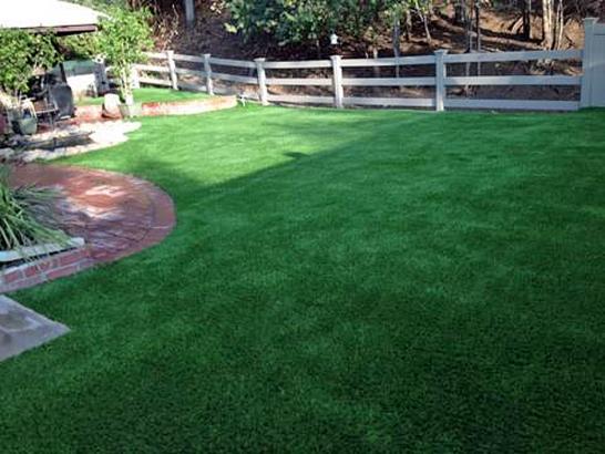 Artificial Grass Photos: Turf Grass Mill Creek, Washington Home And Garden, Backyard Garden Ideas