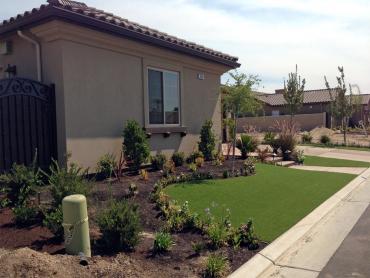 Artificial Grass Photos: Turf Grass Orcas, Washington Home And Garden, Front Yard Ideas