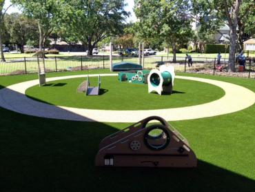 Artificial Grass Photos: Turf Grass Rosedale, Washington Roof Top, Commercial Landscape