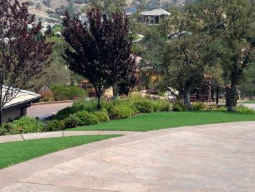 Artificial Grass Photos: Turf Grass Walnut Grove, Washington Landscape Rock, Front Yard Landscaping Ideas