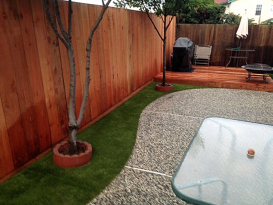 Turf Grass Wilkeson, Washington Landscape Photos, Backyard Ideas artificial grass