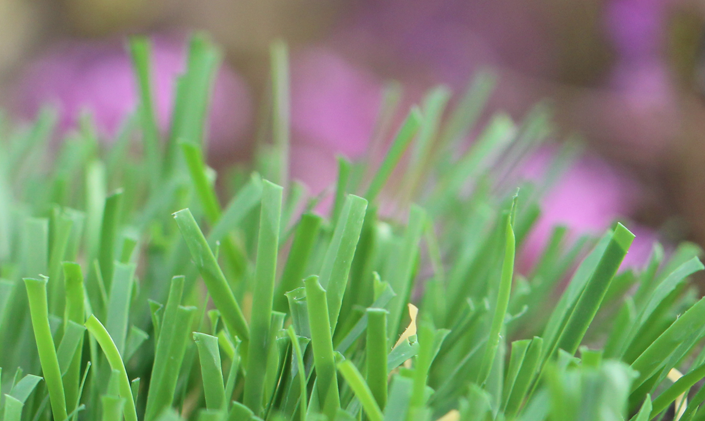 Artificial Grass Emerald-52 Artificial Grass Seattle, Washington