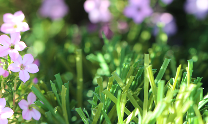 Artificial Grass S Blade 66 Green on Green Artificial Grass Seattle, Washington