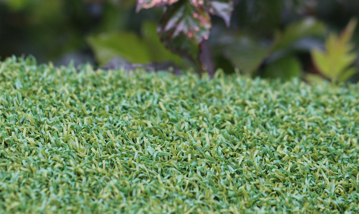 Artificial Grass Putt-46 BiColor Artificial Grass Seattle, Washington