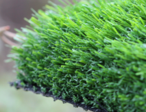 Greenest Artificial Grass