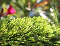 Artificial Grass Lawn