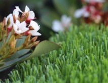 Artificial Grass For Rooftops