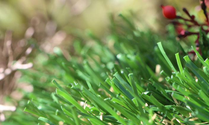 Artificial Grass Emerald-70 Artificial Grass Seattle, Washington