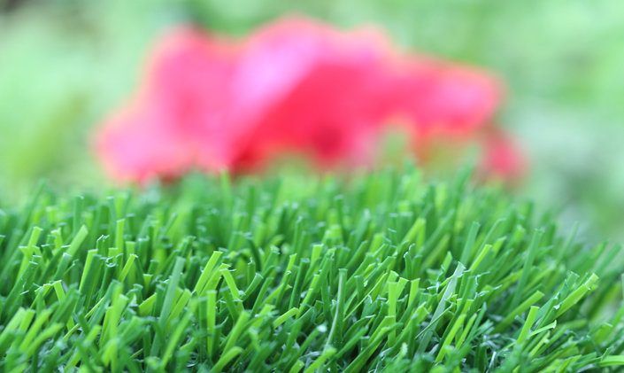 Artificial Grass Evergreen-80 Artificial Grass Seattle, Washington