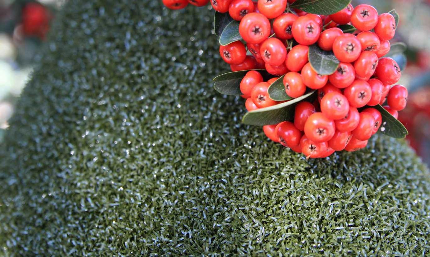 Artificial Grass Putting Green Artificial Grass