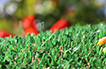 Artificial Grass Pet Turf