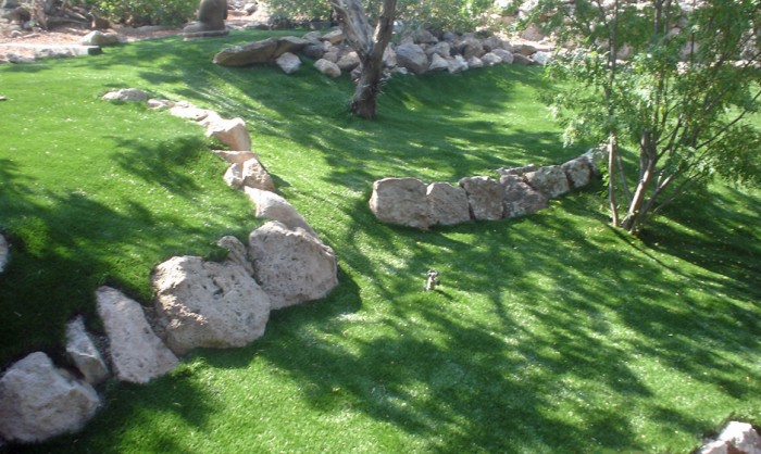 Synthetic Grass for Landscape Lawns Seattle, Washington