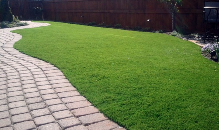 Artificial Grass For Dogs in Seattle, Washington | Pet Grass
