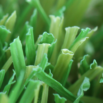 W Blade 80 oz. is ideal for all landscapes, playgrounds, and pet areas.