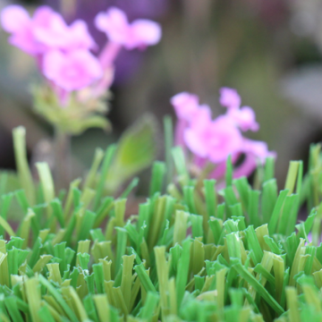 W Blade 80 is one of the coolest synthetic turf's on the market.